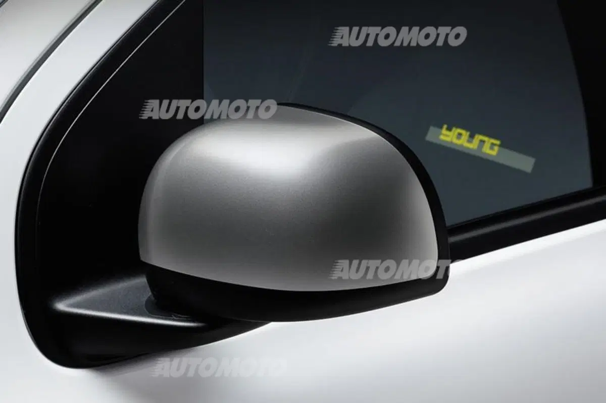 Fiat Panda e Punto Young (4)