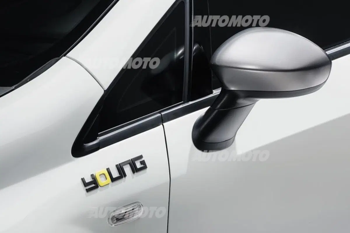 Fiat Panda e Punto Young (7)
