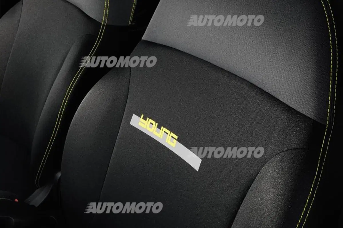 Fiat Panda e Punto Young (13)