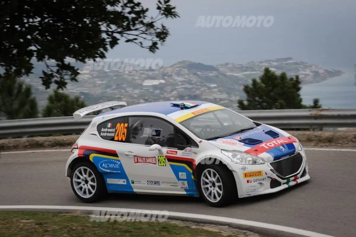 CIR 2014,  Rally Sanremo. Paolo Andreucci: «Diamoci dentro con lo spettacolo» (8)