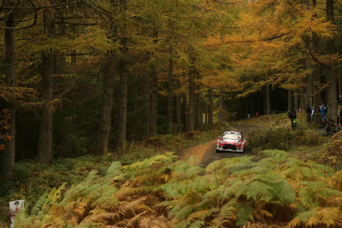 WRC, le foto più belle della stagione 2016 (23)