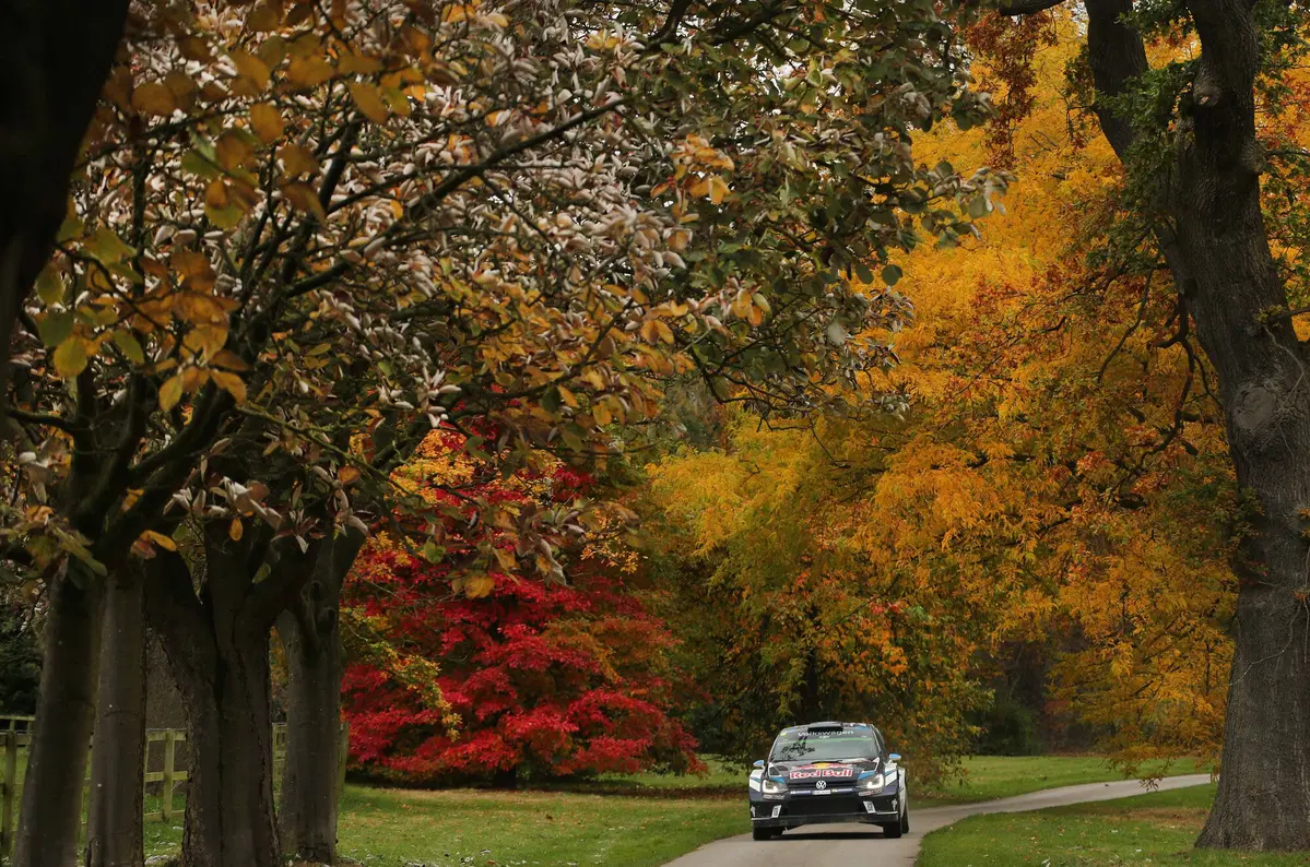 WRC, le foto più belle della stagione 2016 (24)