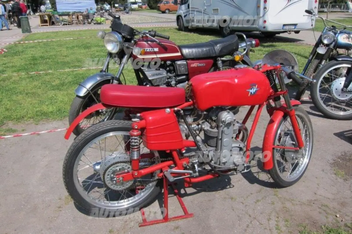 Automoto collection 2014 (39)