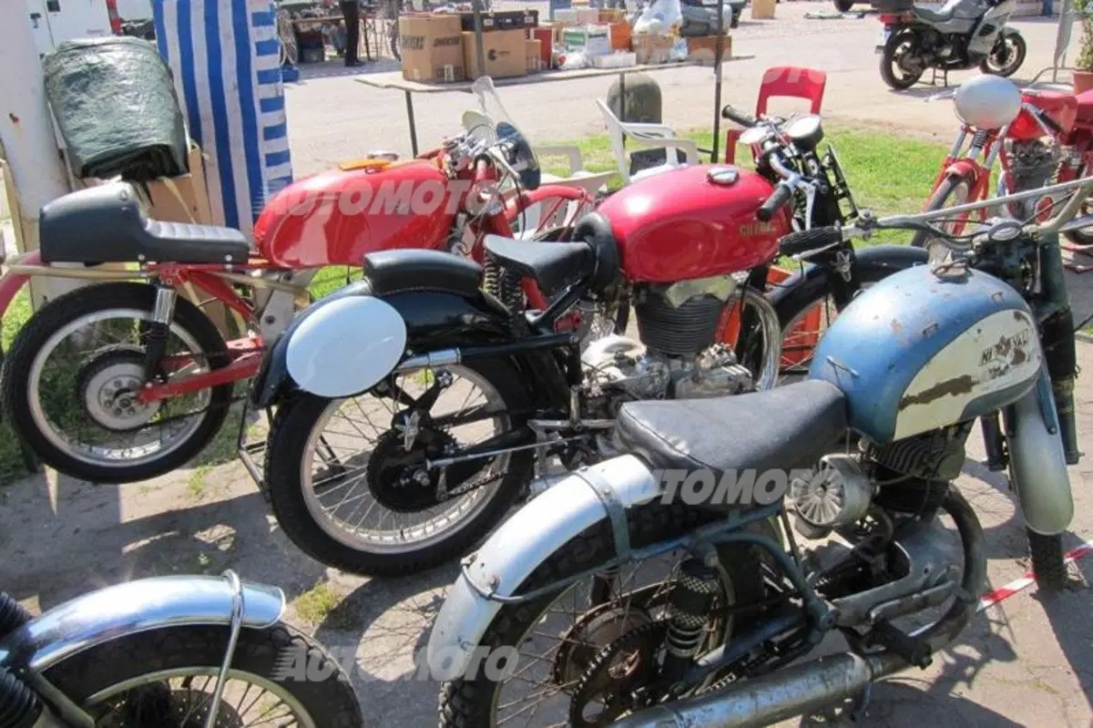 Automoto collection 2014 (40)