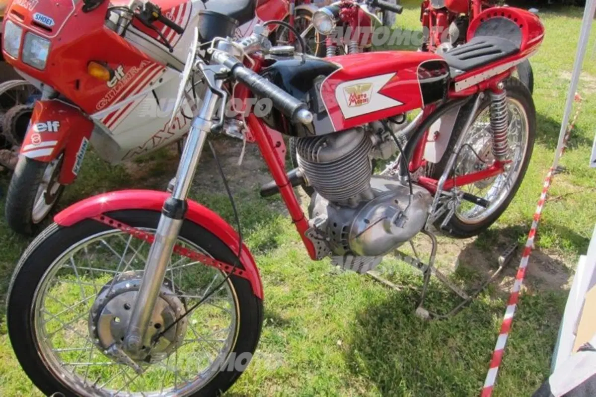Automoto collection 2014 (60)