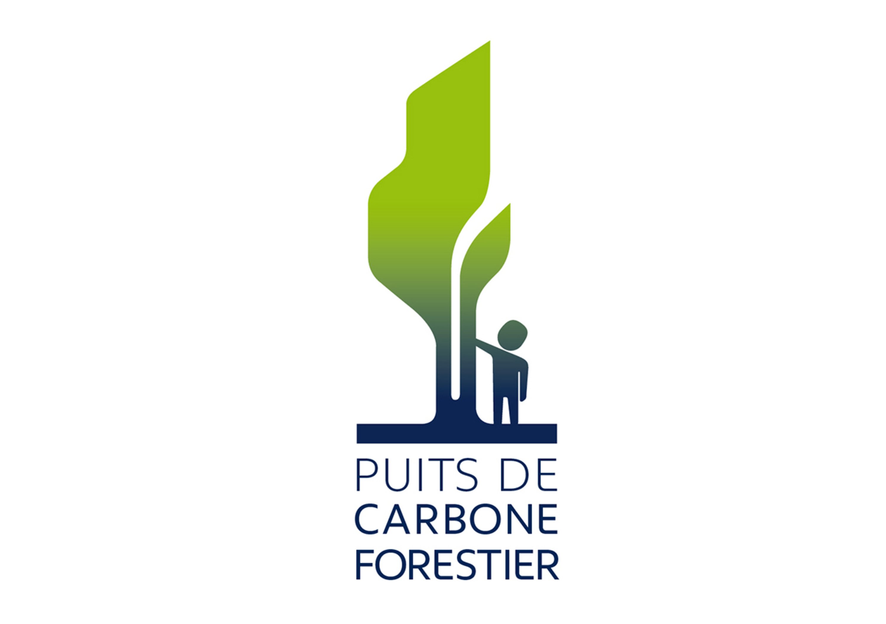 Peugeot-ONF: in Amazzonia un Pozzo di carbonio forestale