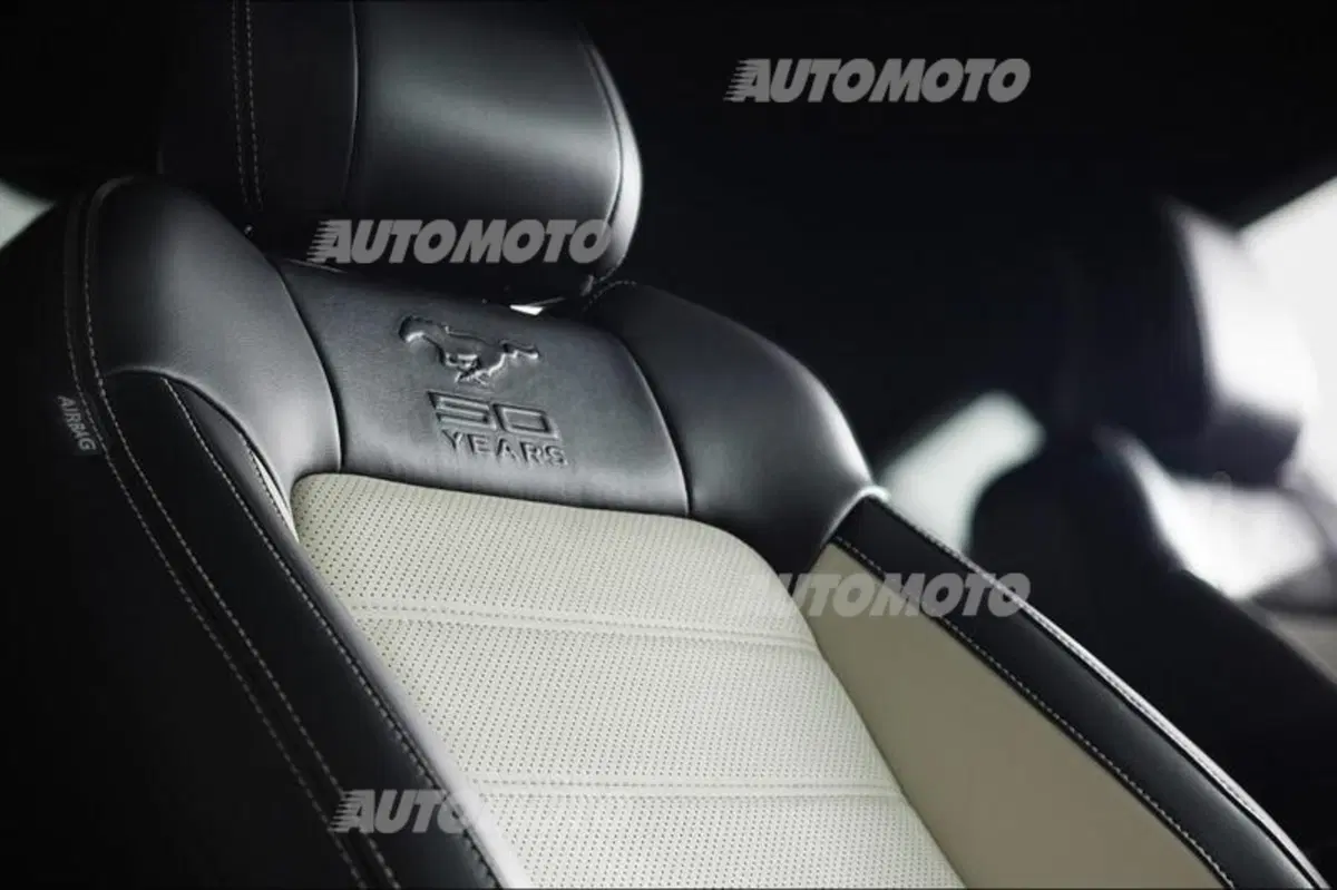 Ford Mustang 50 Year Limited Edition (13)