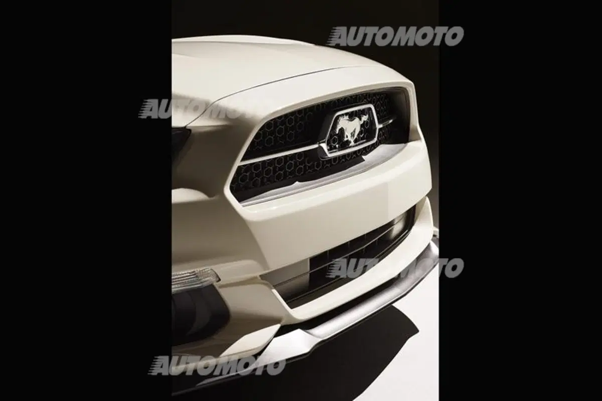Ford Mustang 50 Year Limited Edition (24)