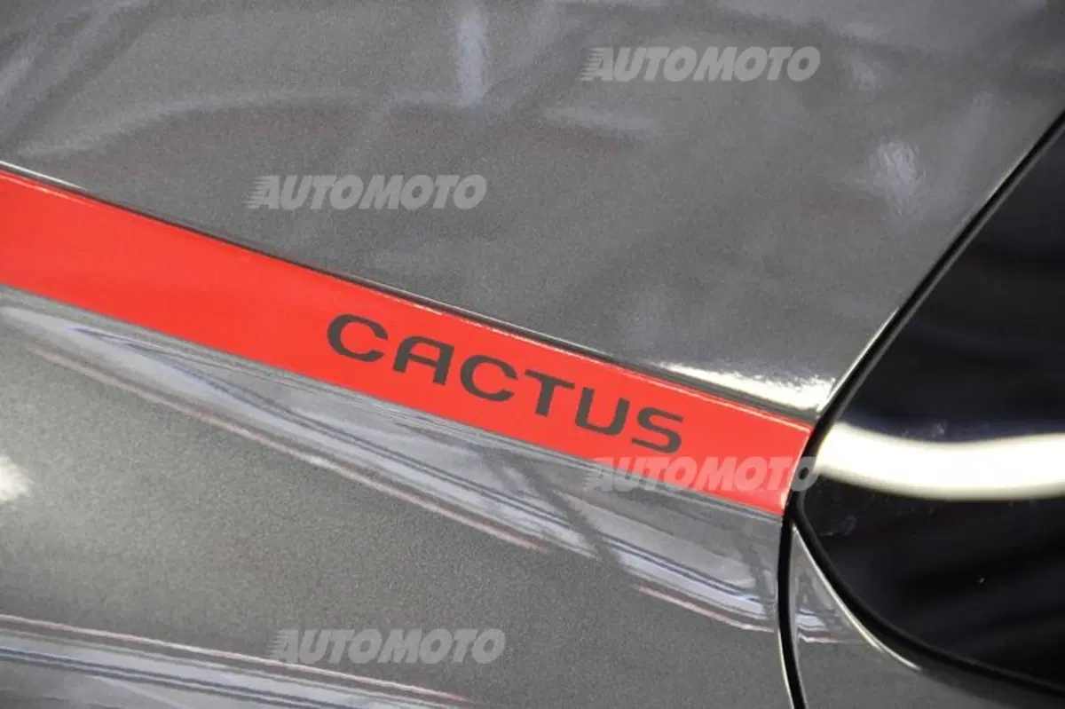 Bertol: «La nuova Citroen C4 Cactus nasce a Madrid. Ecco come» (16)