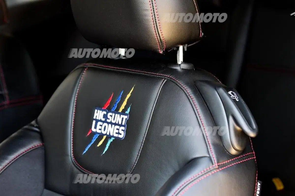 Peugeot 208 Gti “UcciUssi” (9)