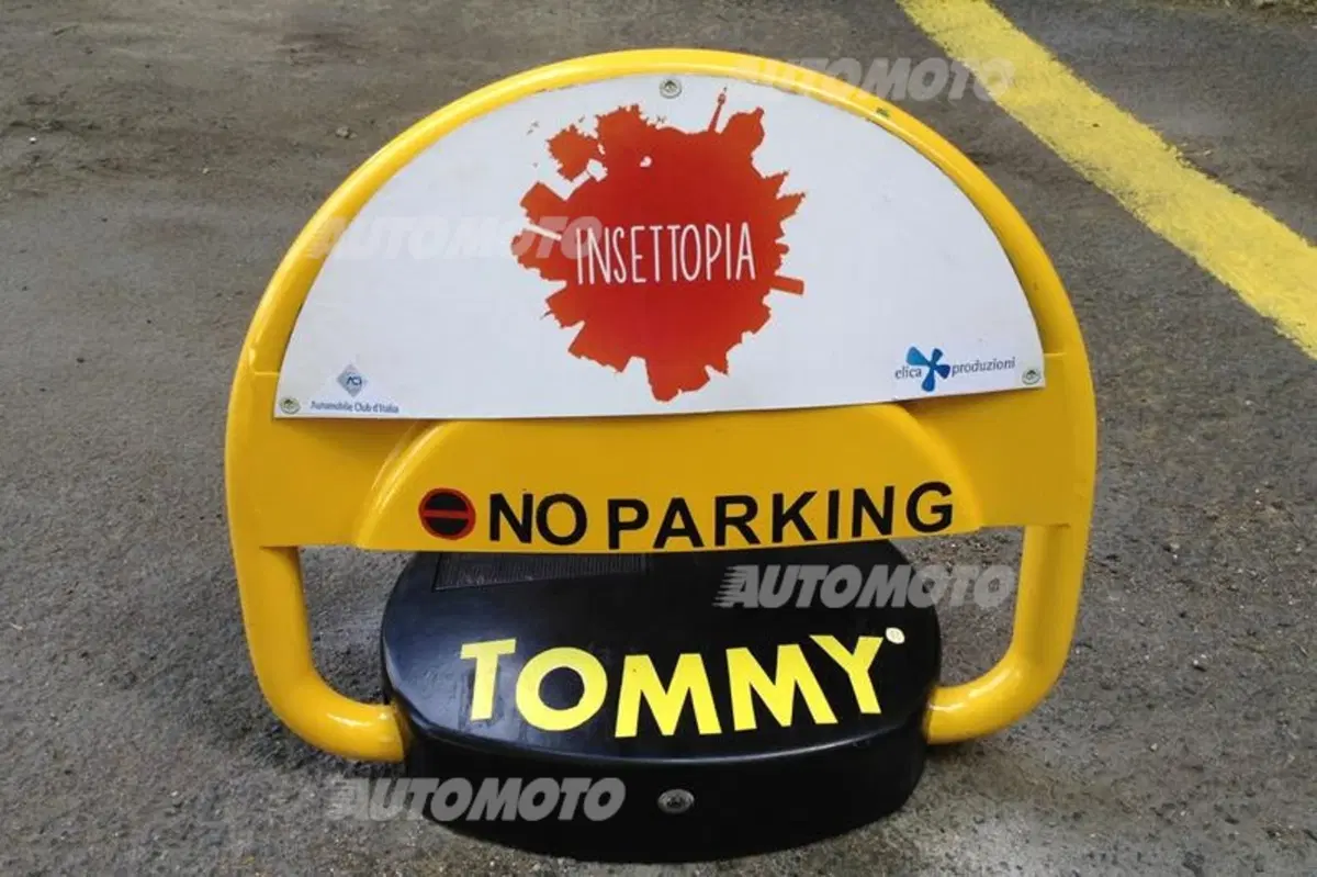 Ecco Tommy, che difende gli spazi di sosta per i disabili (2)