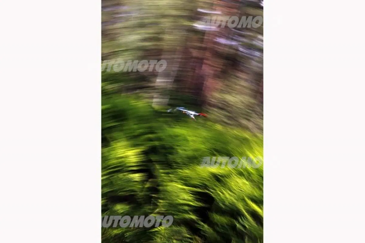 WRC Polonia 2014: le foto più belle del Rally (16)