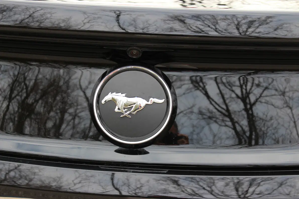 Ford Mustang | test drive #AMboxing (23)