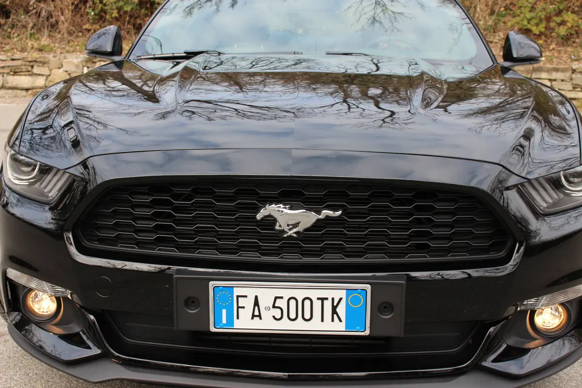 Ford Mustang | test drive #AMboxing (39)