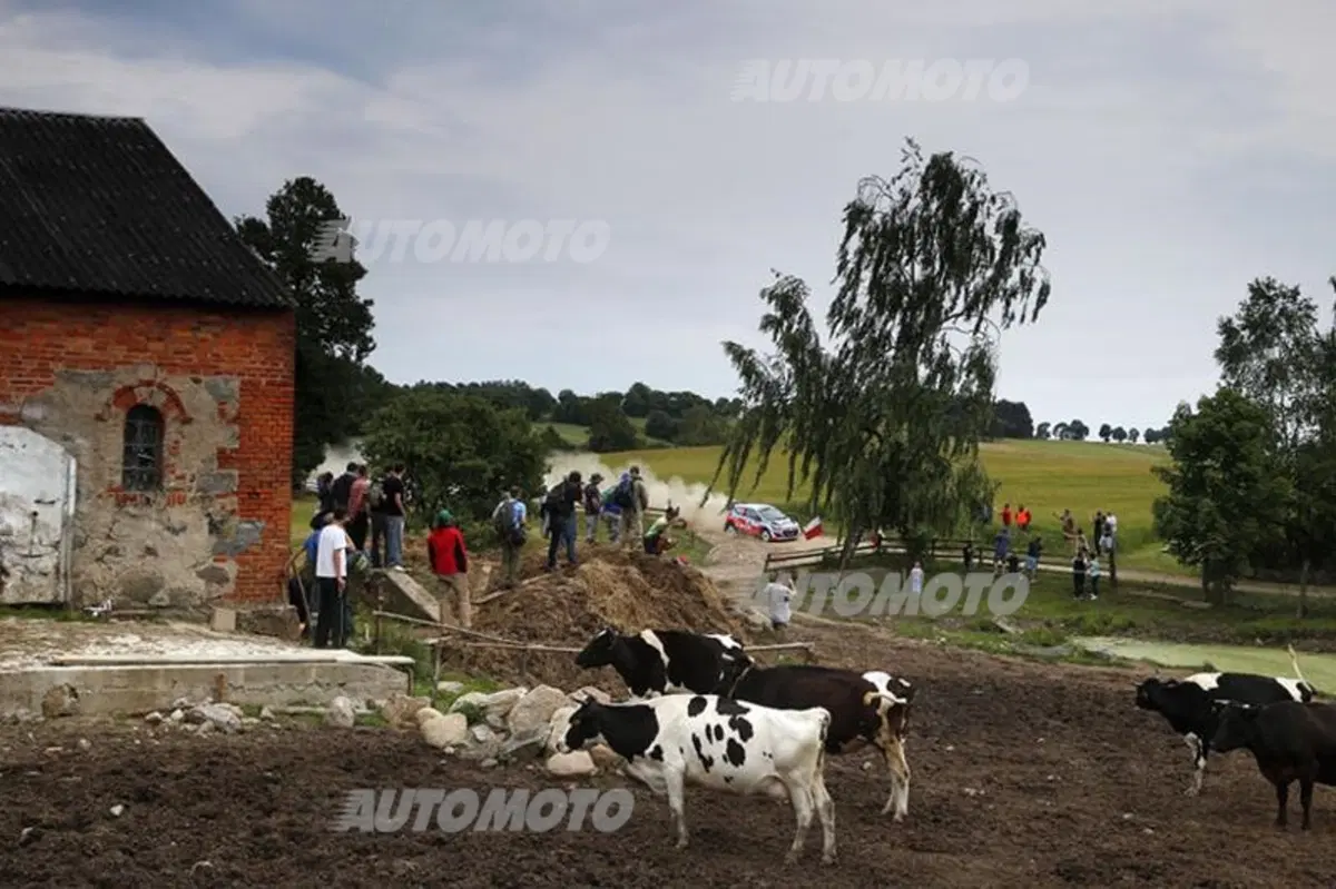 WRC Polonia 2014: le foto più belle del Rally (37)