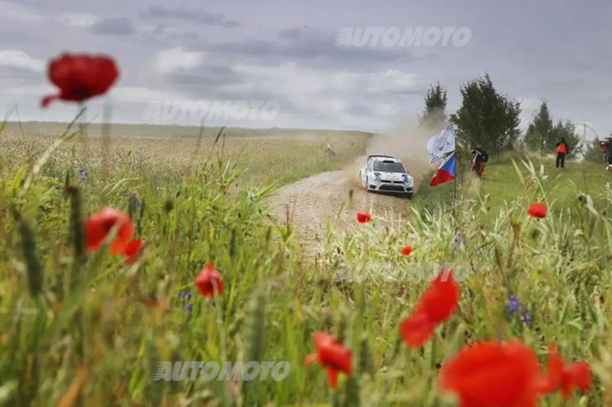 WRC Polonia 2014: le foto più belle del Rally (44)