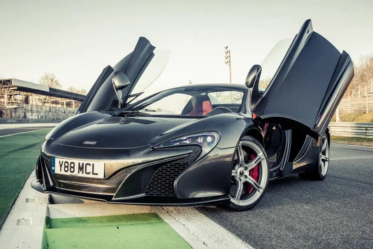 Le auto del Milione: McLaren 650S Spider (14)