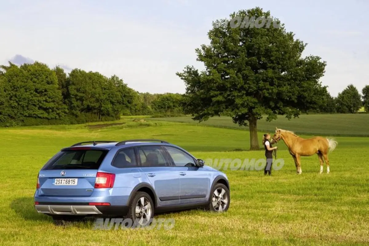Skoda Octavia Scout: tutti i dettagli ufficiali (7)