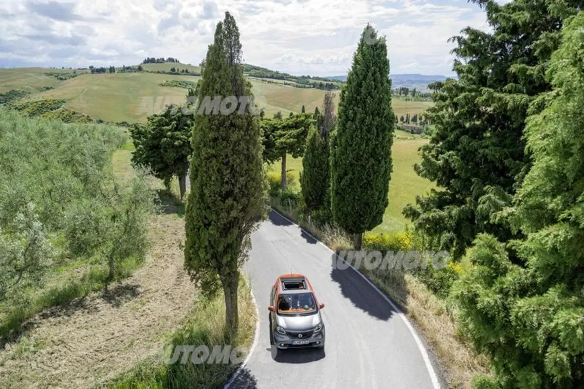 Nuova smart forfour (13)