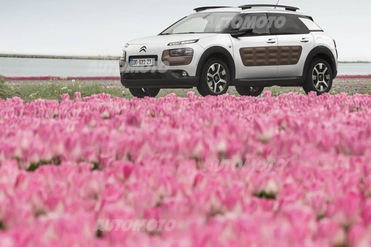 Citroen C4 Cactus: ecco la nostra video-prova (16)
