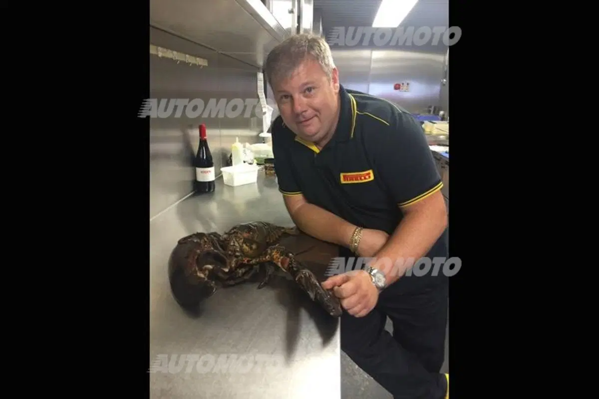 Formula 1 ai fornelli: la ricetta del GP di Germania 2014 (5)