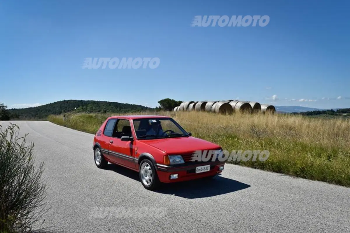 Peugeot 203, 404, 504, 205 GTI e 205 Gutmann (17)