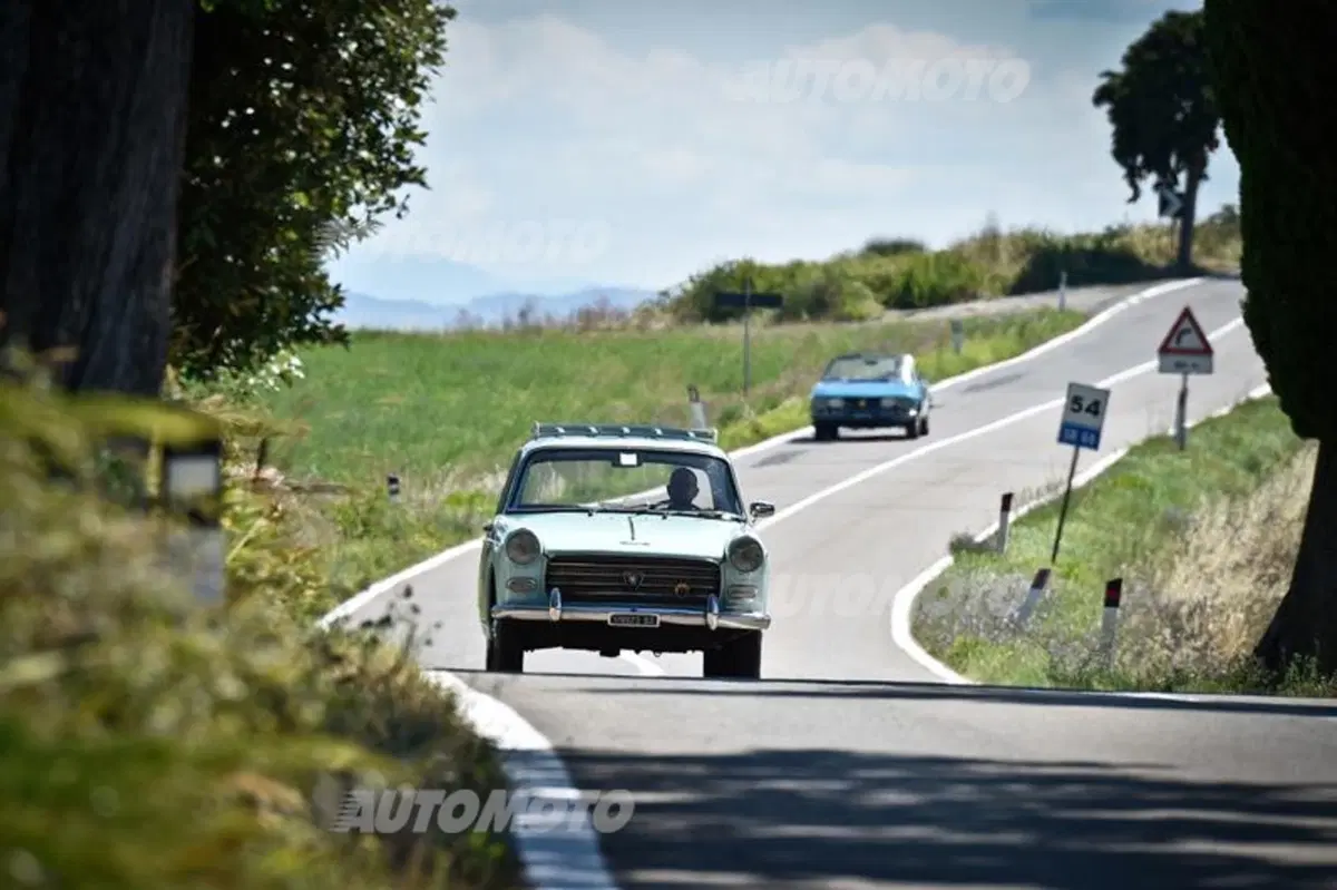 Peugeot 203, 404, 504, 205 GTI e 205 Gutmann (46)