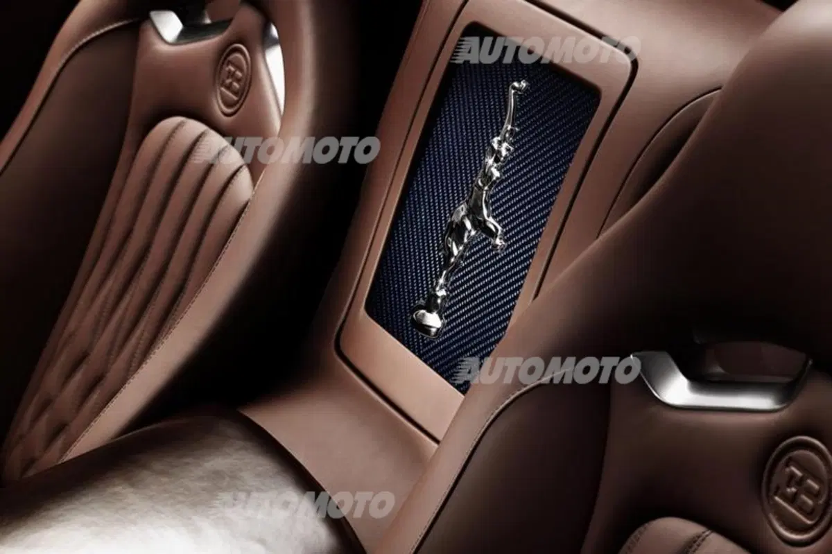 Bugatti Veyron Ettore Bugatti (10)