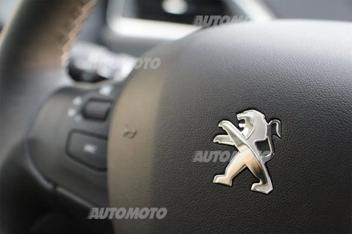 Peugeot 2008 1.6 e-HDi 115 CV (26)