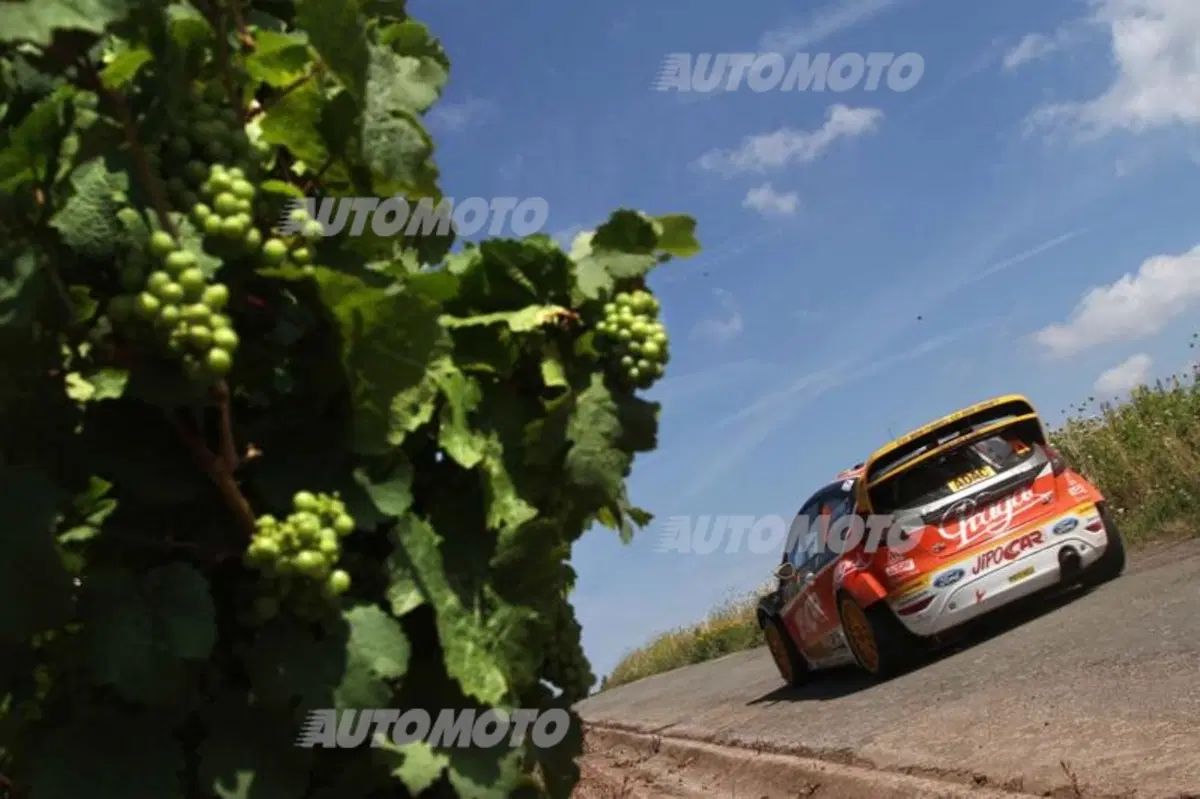 WRC 2014: cosa ci dobbiamo aspettare dal rally di Germania (11)