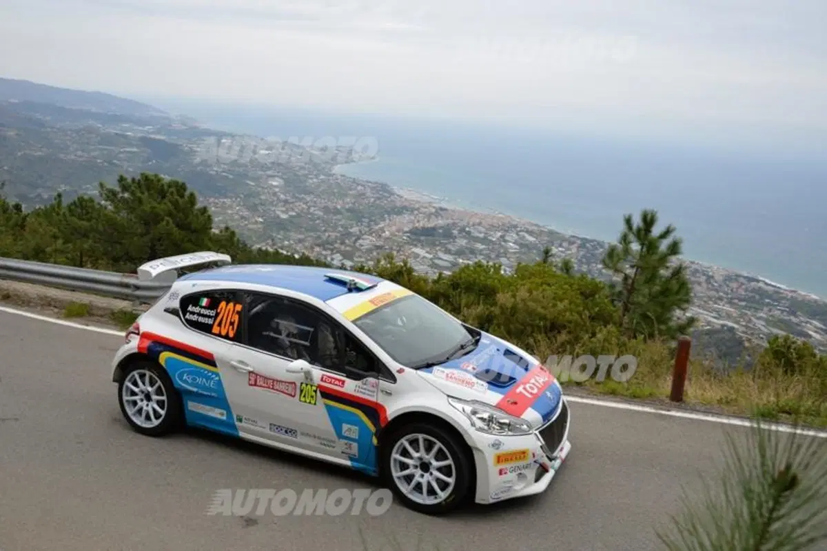 Peugeot 208 T16 e 208 R2: i Leoni da rally visti con gli occhi dei protagonisti (11)