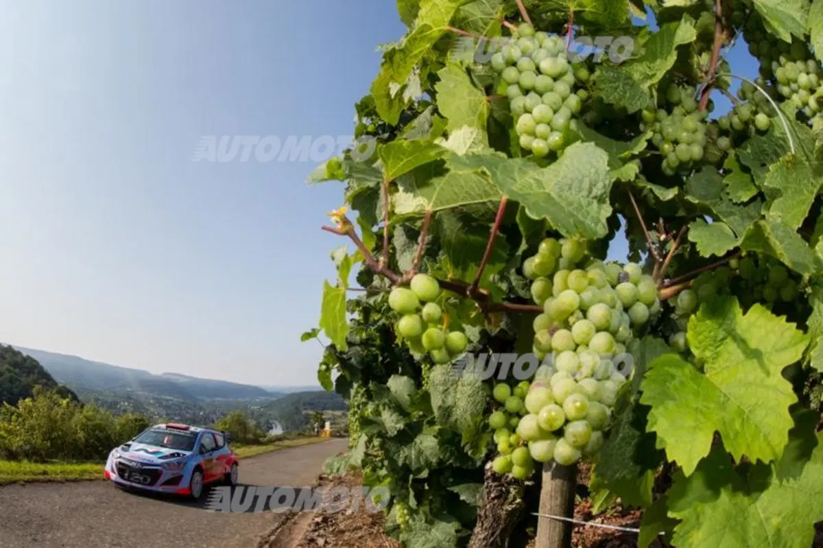 WRC Germania 2014: gli highlights del Rally dove trionfa Hyundai e sprofonda VW (10)