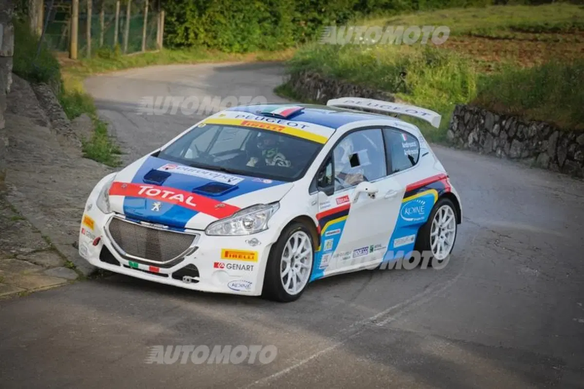 Peugeot 208 T16 e 208 R2 (3)