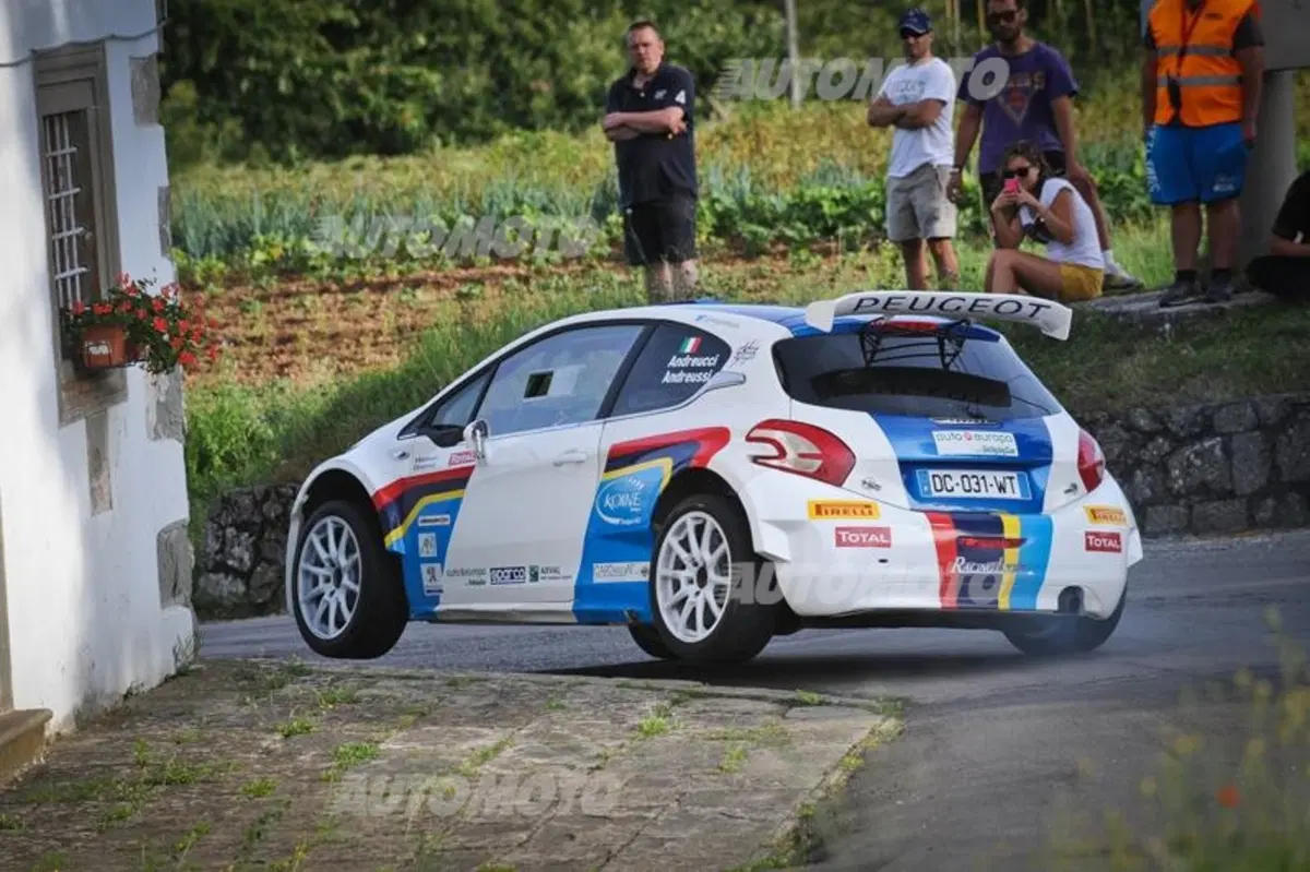 Peugeot 208 T16 e 208 R2 (4)
