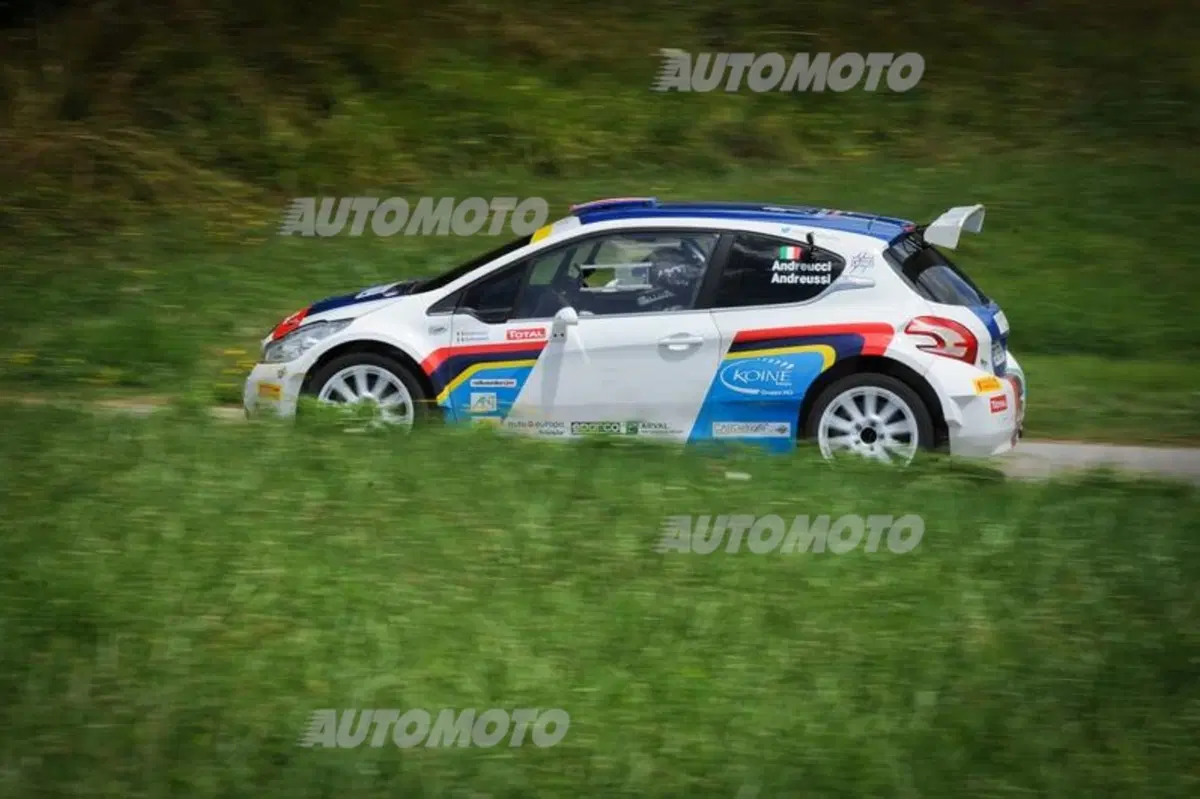 Peugeot 208 T16 e 208 R2 (8)