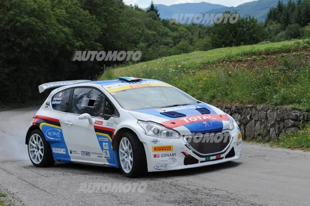 Peugeot 208 T16 e 208 R2 (10)