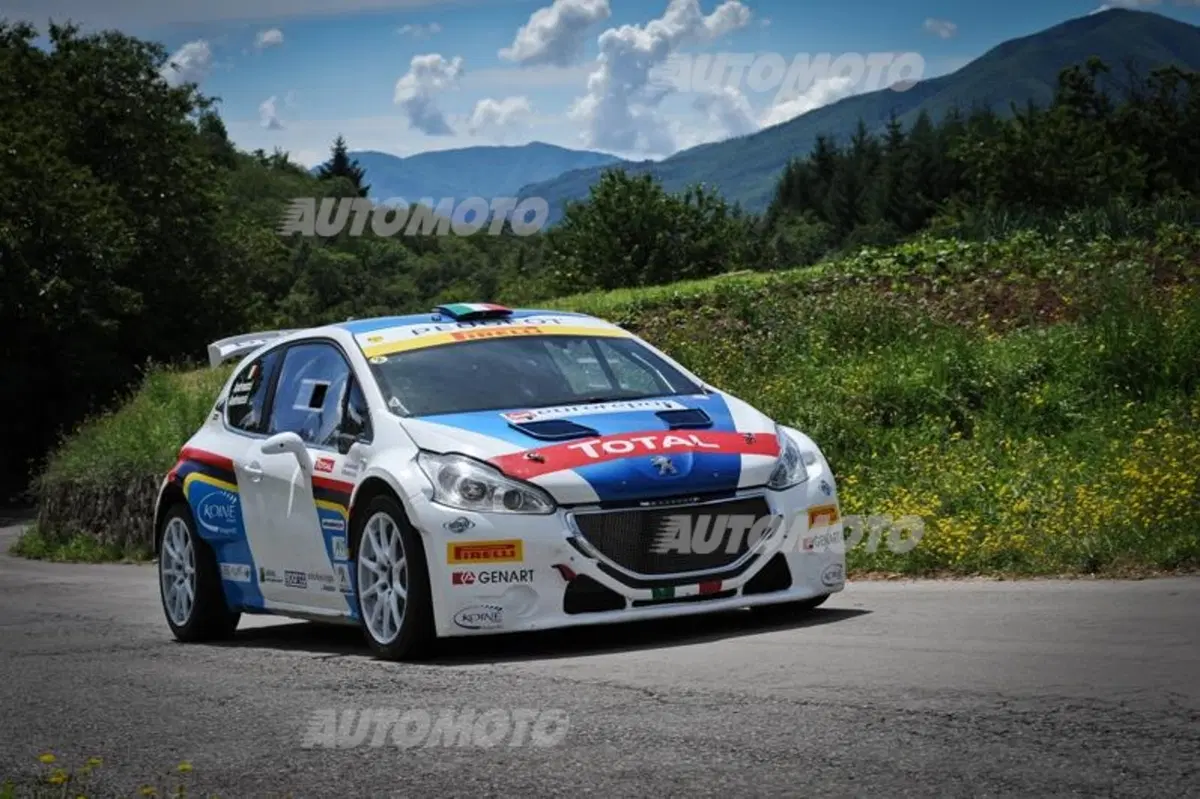 Peugeot 208 T16 e 208 R2 (17)