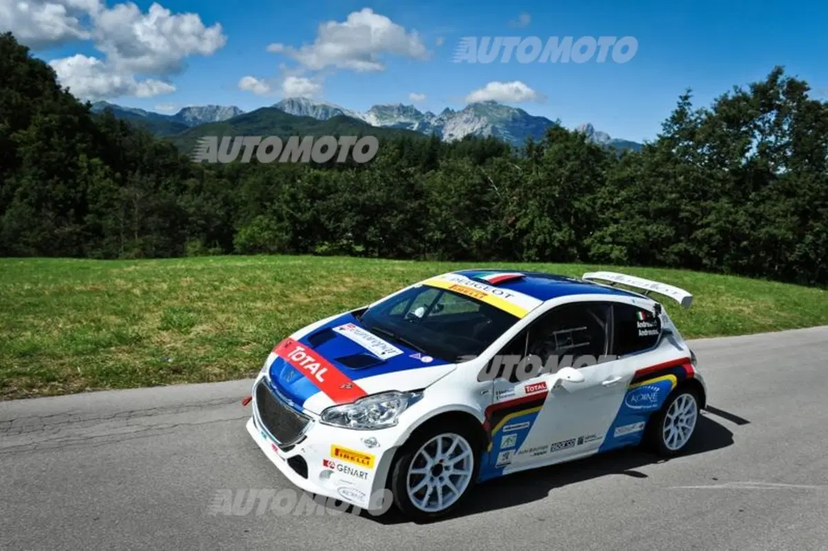Peugeot 208 T16 e 208 R2 (19)