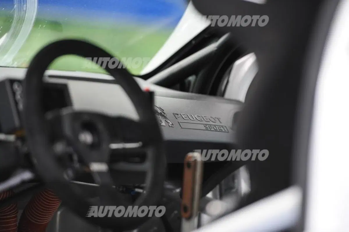 Peugeot 208 T16 e 208 R2 (32)