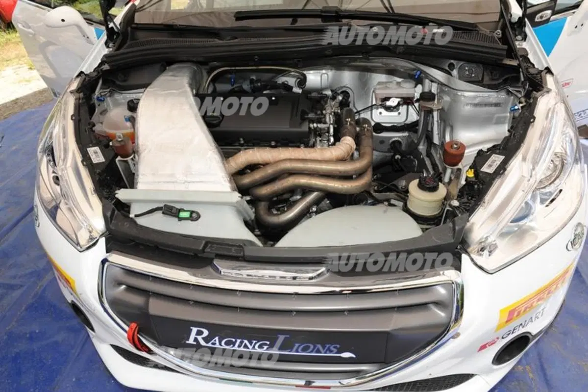Peugeot 208 T16 e 208 R2 (39)