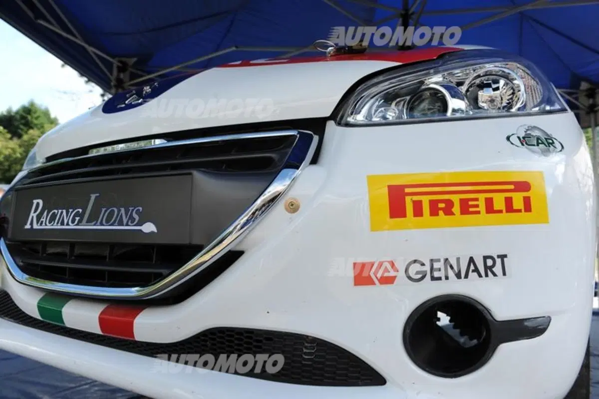 Peugeot 208 T16 e 208 R2 (45)