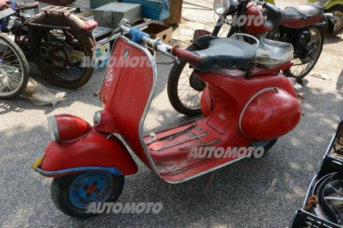 Mostra scambio a Gambettola: dove si può trovare di tutto e di più (3)