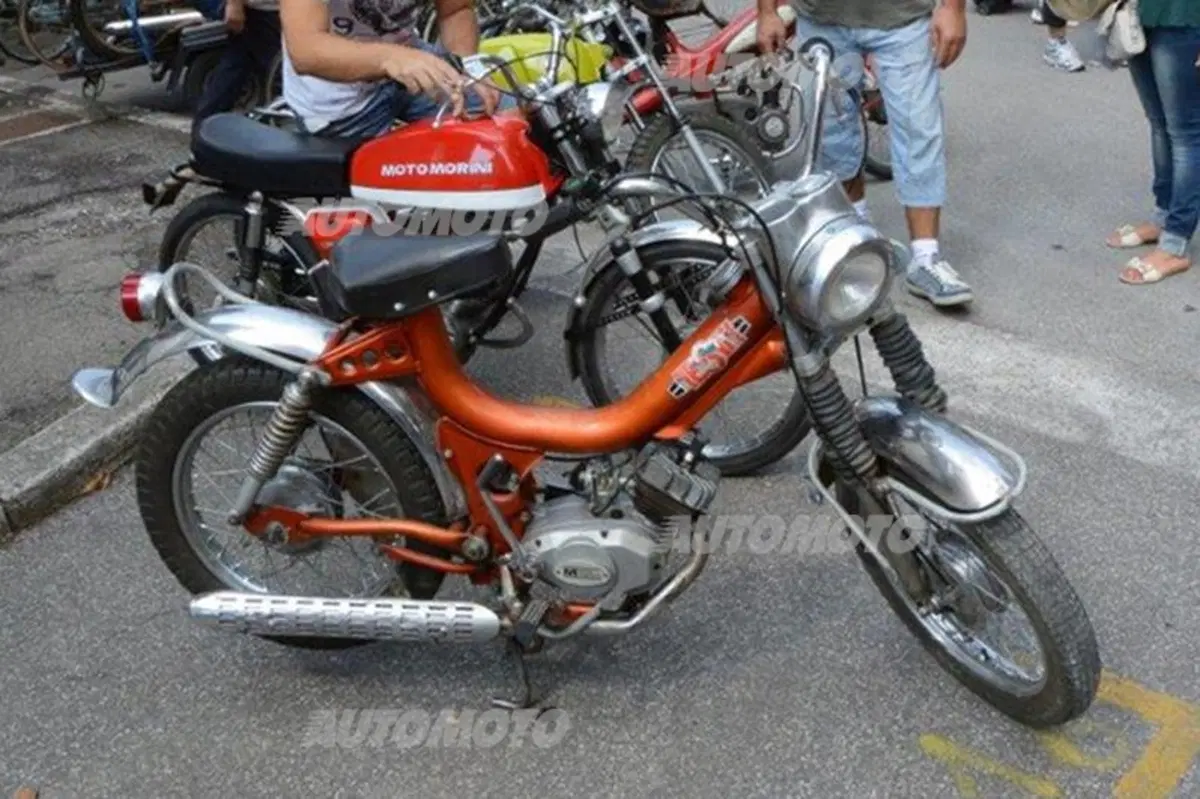 Mostra scambio a Gambettola: dove si può trovare di tutto e di più (9)