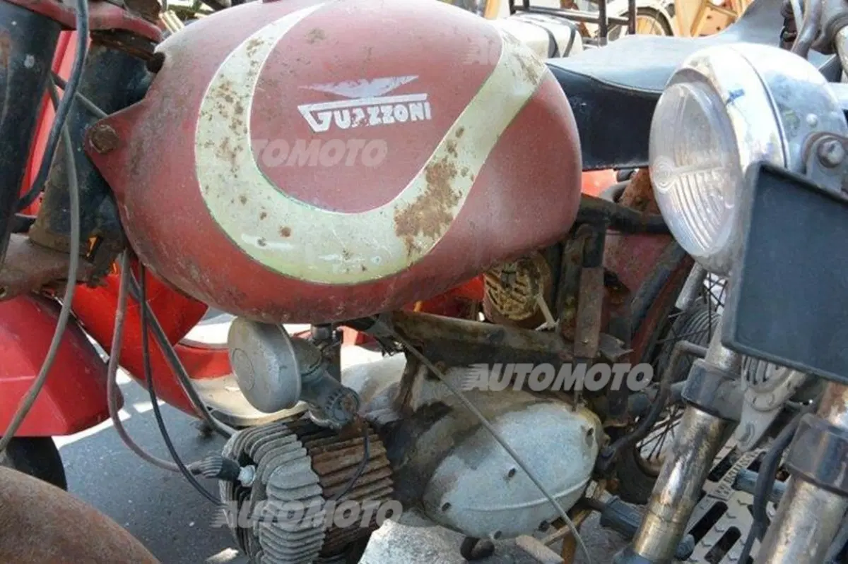 Mostra scambio a Gambettola: dove si può trovare di tutto e di più (17)
