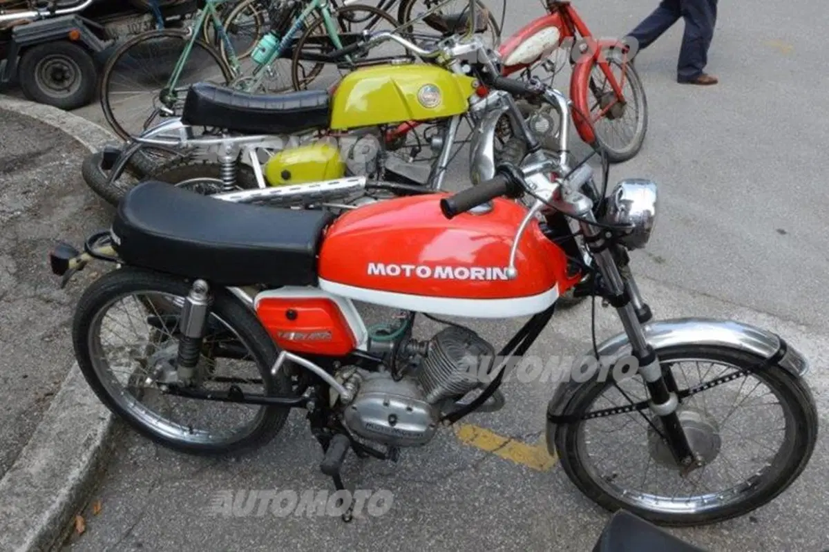 Mostra scambio a Gambettola: dove si può trovare di tutto e di più (28)