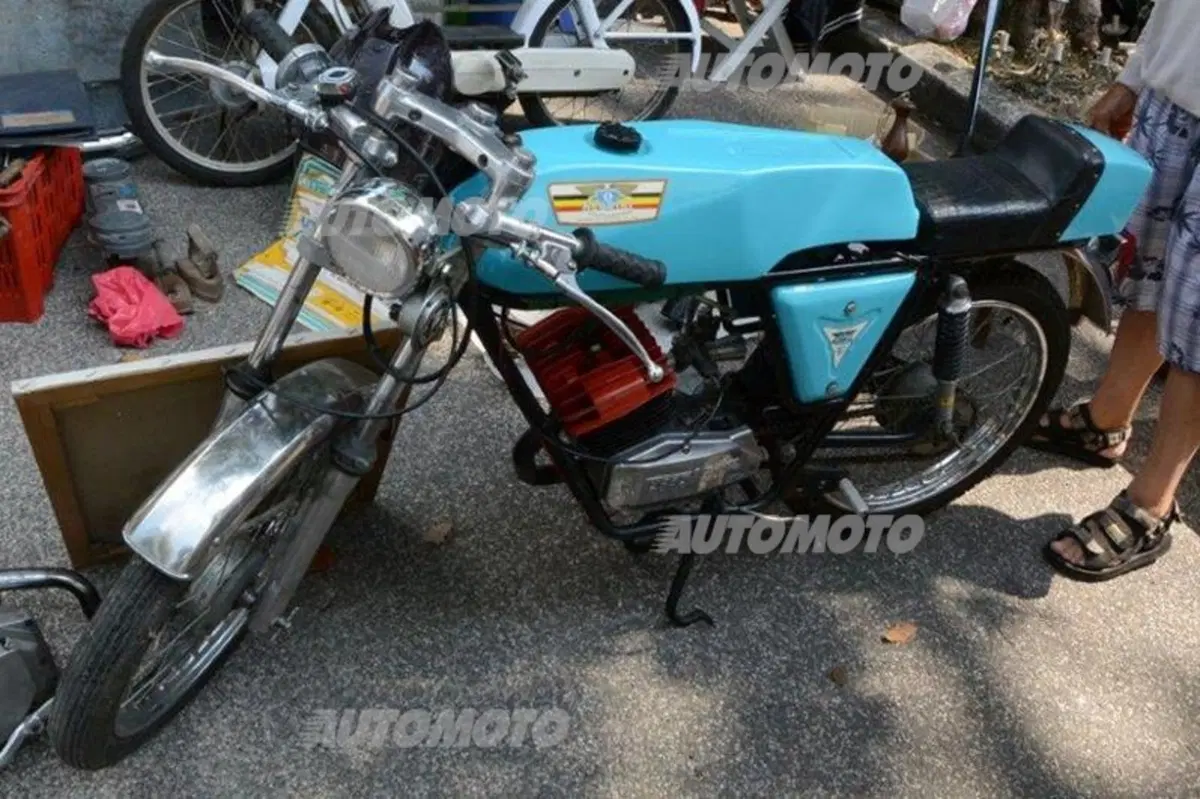 Mostra scambio a Gambettola: dove si può trovare di tutto e di più (44)