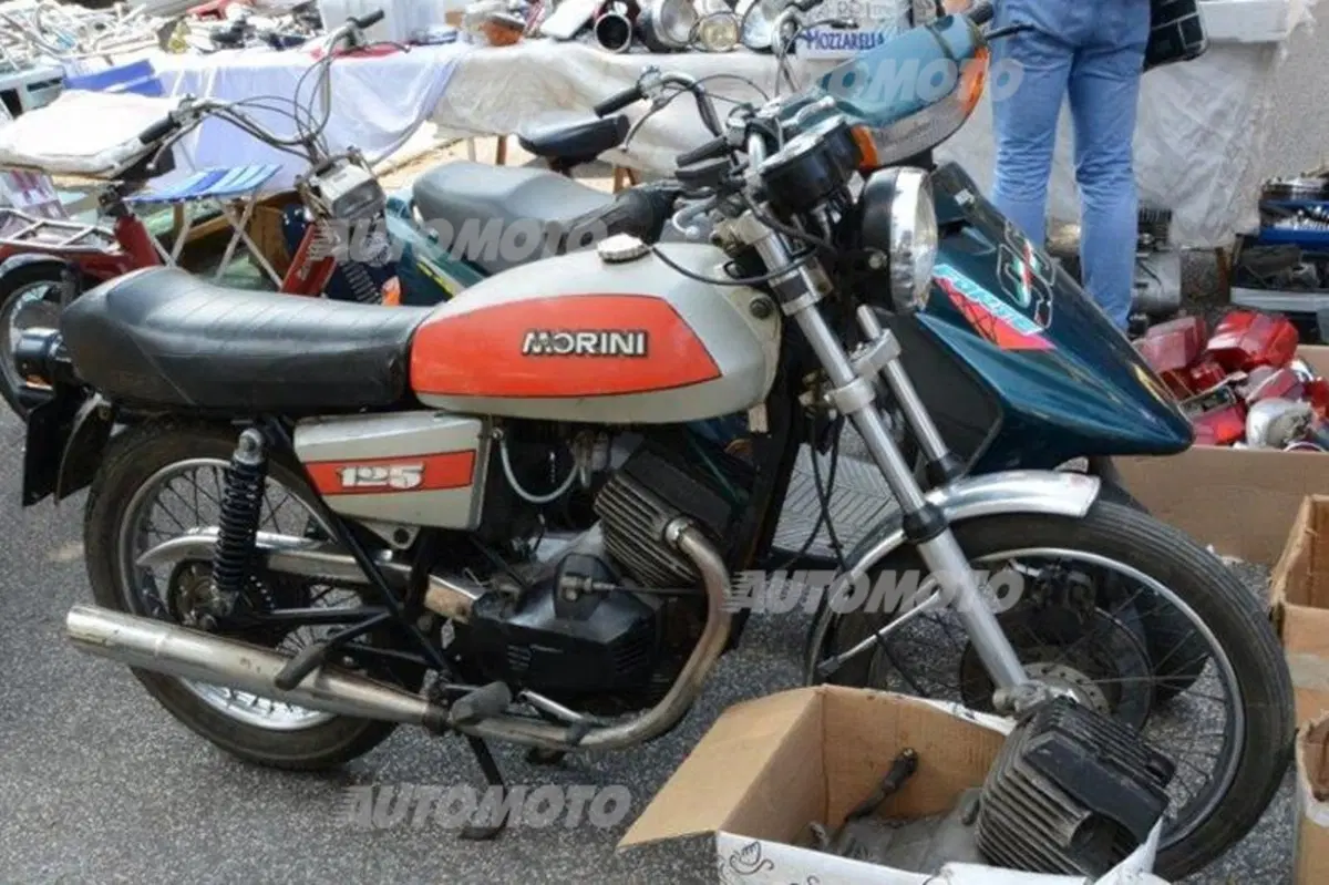 Mostra scambio a Gambettola: dove si può trovare di tutto e di più (46)