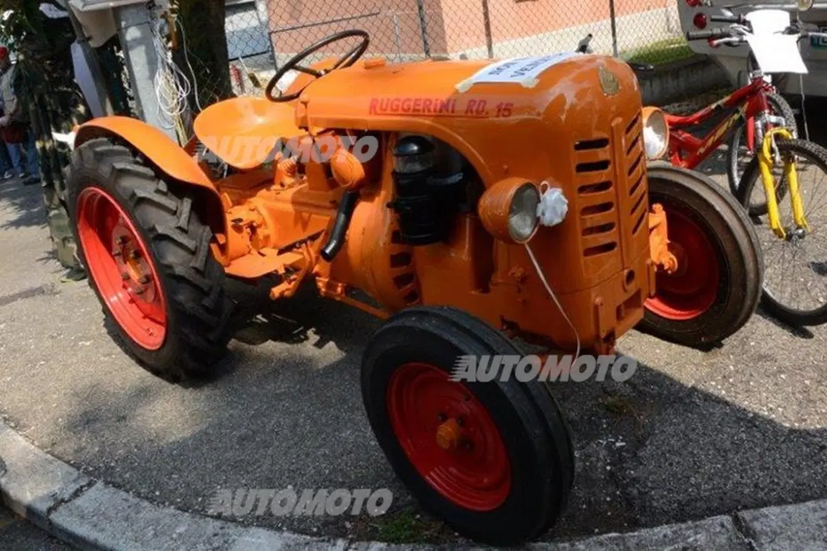 Mostra scambio a Gambettola: dove si può trovare di tutto e di più (52)