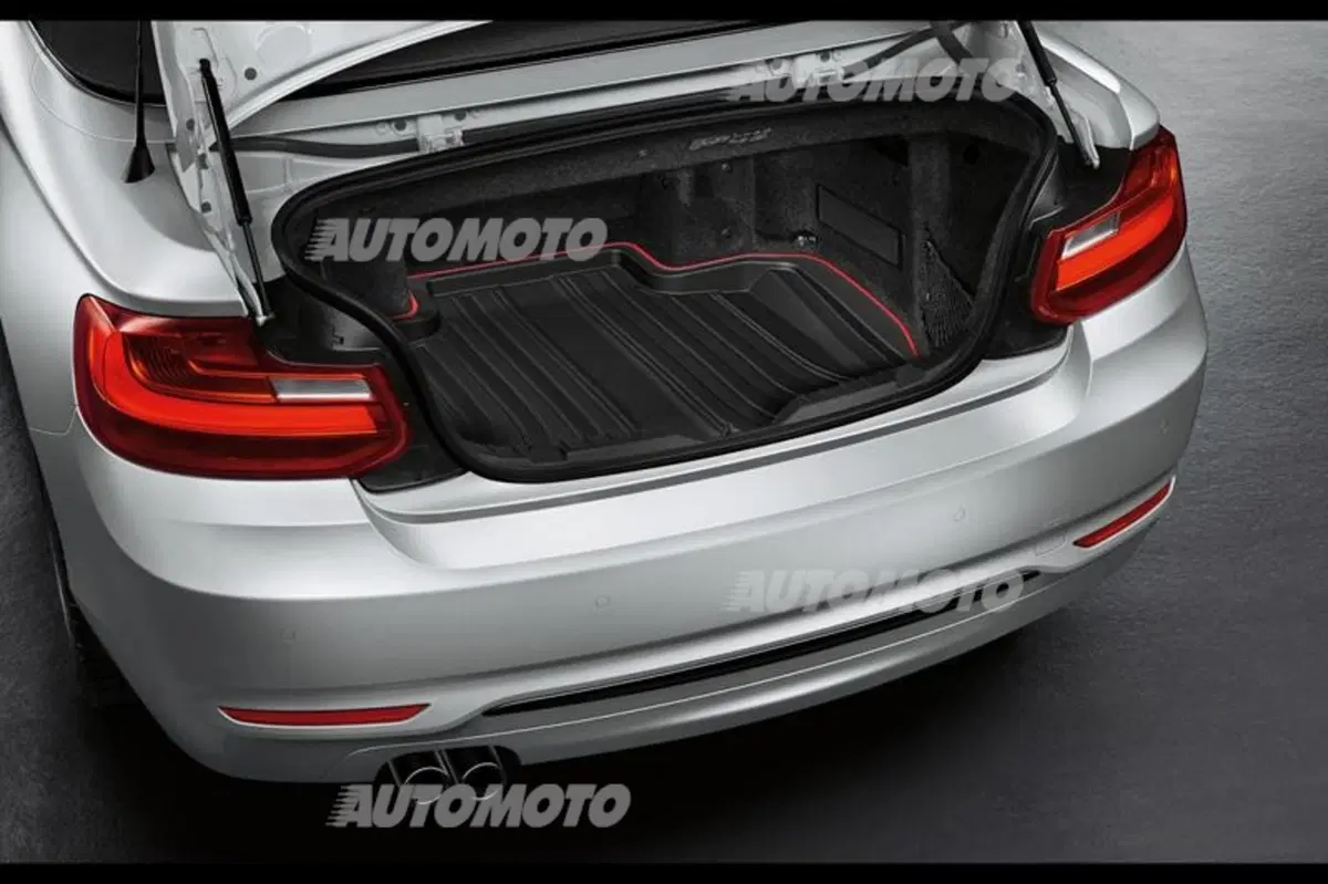 BMW Serie 2 cabrio (39)