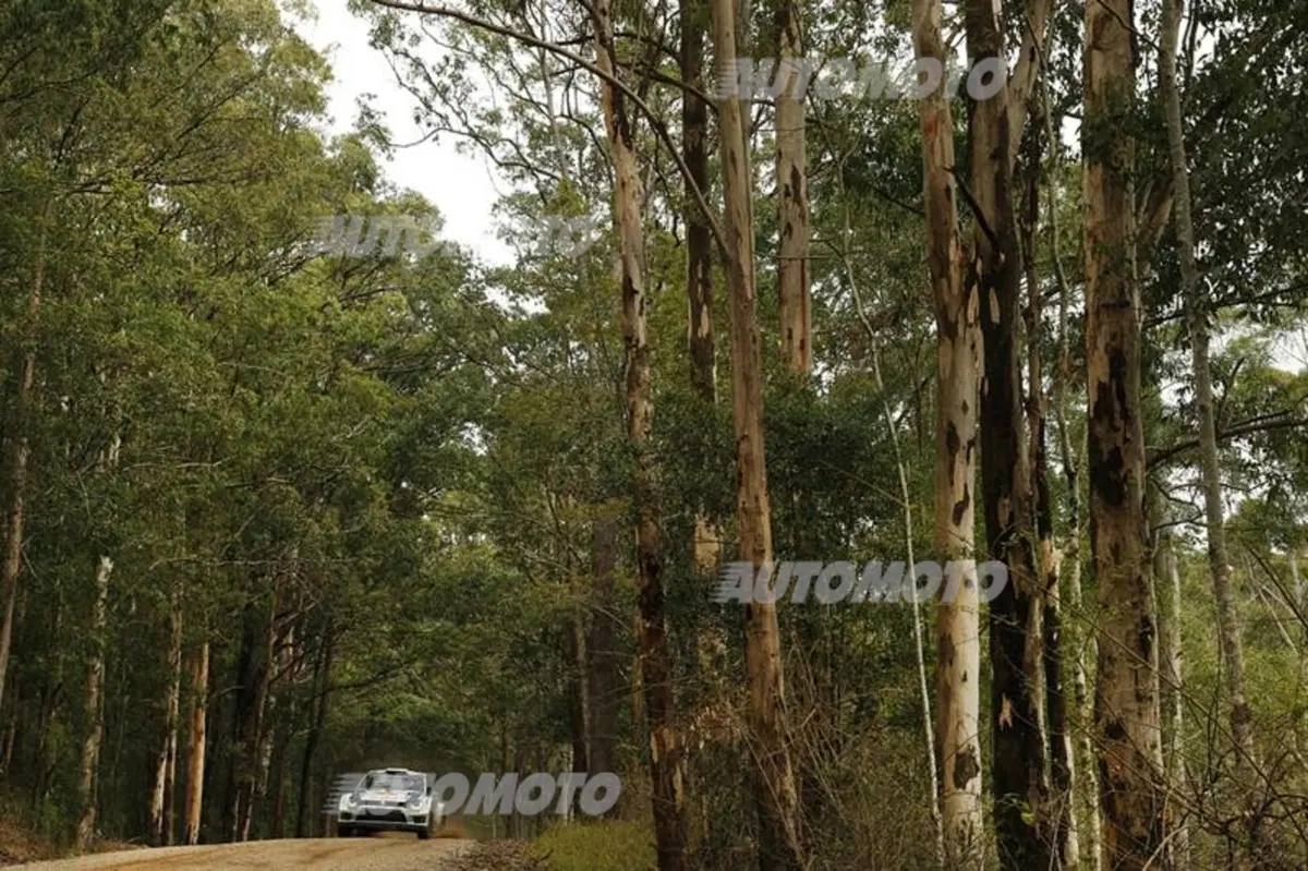 WRC Australia 2014: vince Ogier (10)